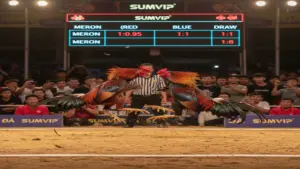 Luật Đá Gà Cựa Sắt Thomo Sumvip Chi Tiết Cho Kê Thủ Chuyên Nghiệp